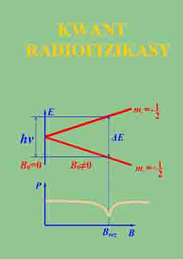 Kwant radiofizikasy